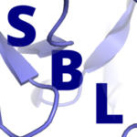 Logo för Structural Bioinformatics Laboratory.