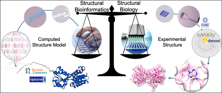Diagram över Structural Bioinformatics.