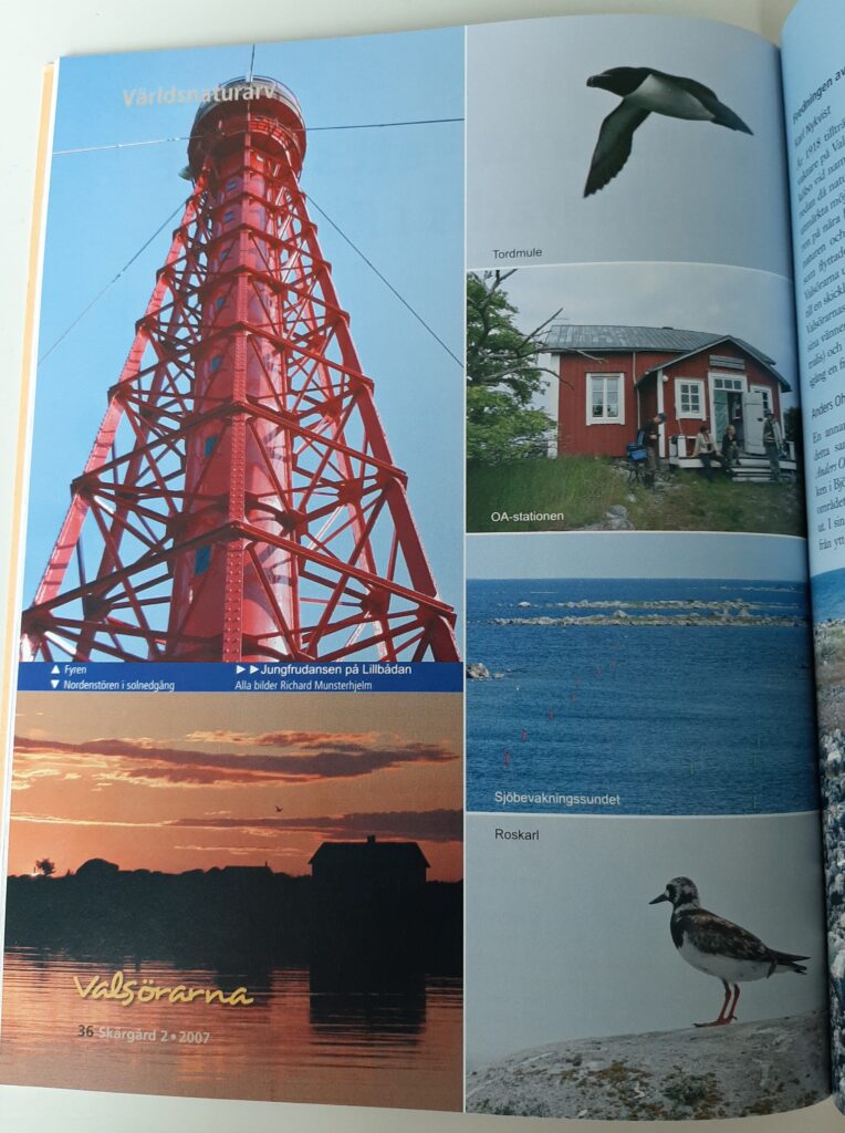 Sida i en tidning med bilder på fyr, solnedgång, fåglar, havet och ett hus.
