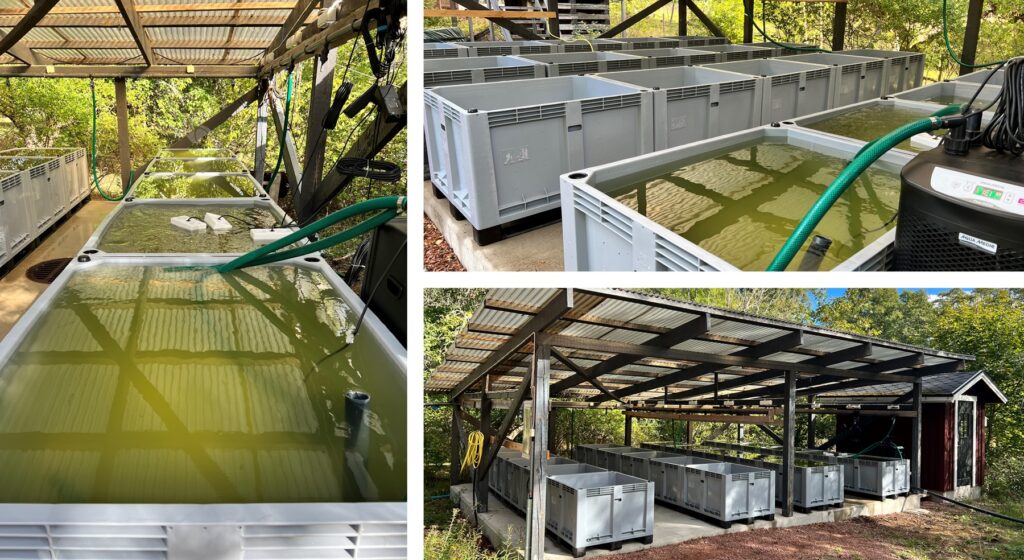 Photos of the mesocosm equipment at Husö.