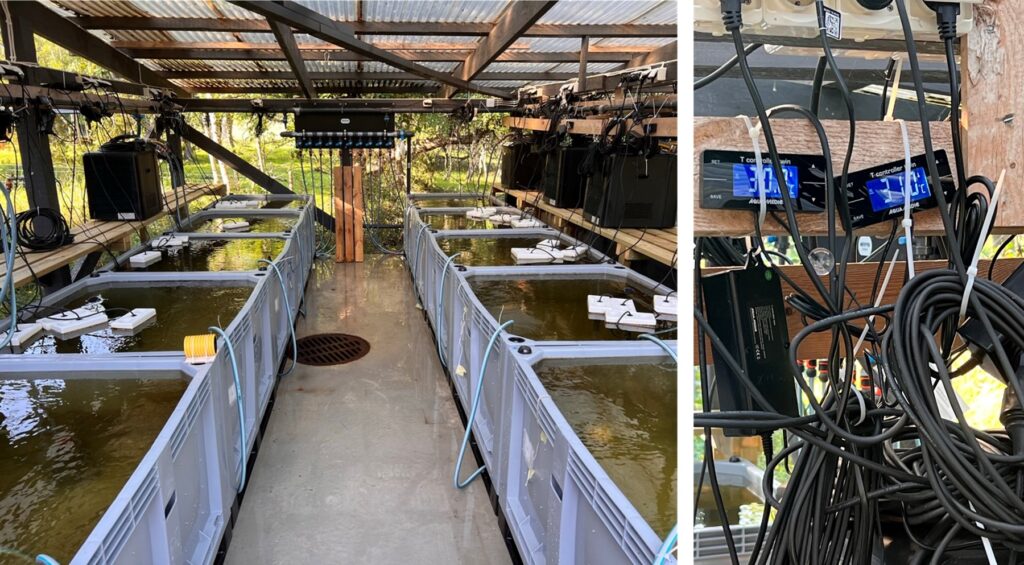 Photos of the mesocosm equipment at Husö.