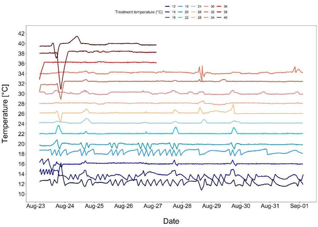 Graph of project data.