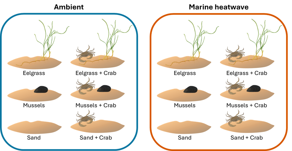 Figure illustrating project findings