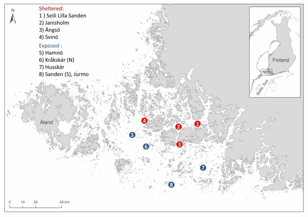 Map illustarting project scope.