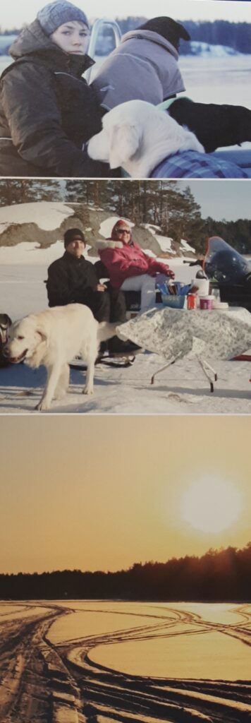 Tre vintriga bilder på isen med hundar och människor och landskap.