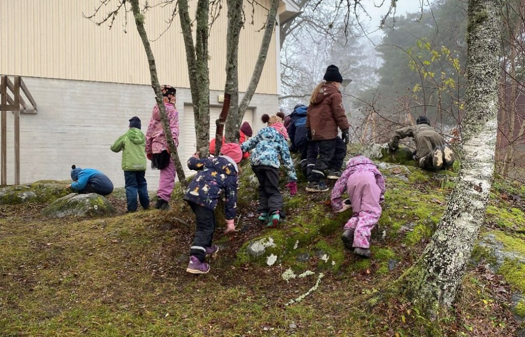 Elever får undersöka mossor och lavar på sin skolgård under en utomhuslektion.